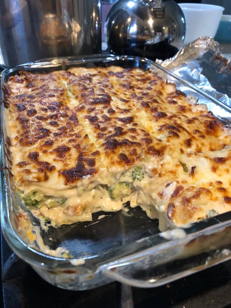 Chicken and Broccoli Lasagna Recipe – hopemakers
